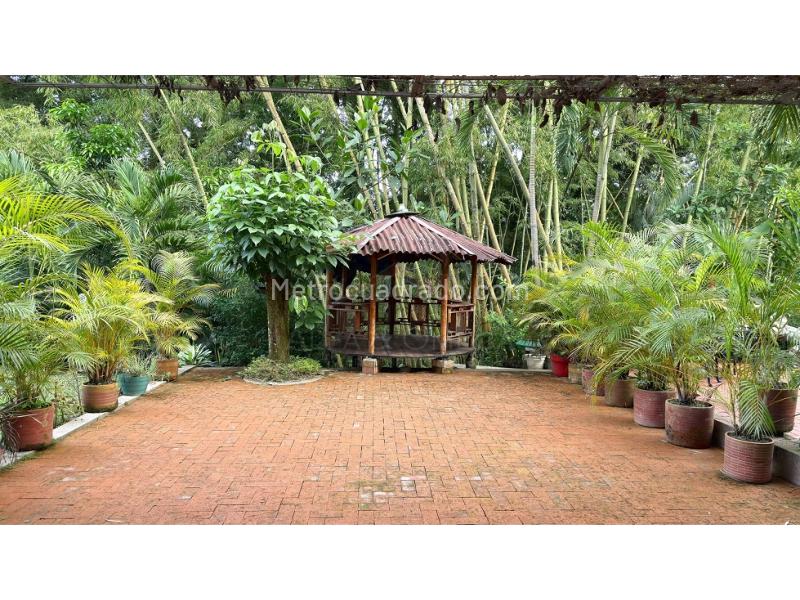 Casa – Ibagué - Vista 2