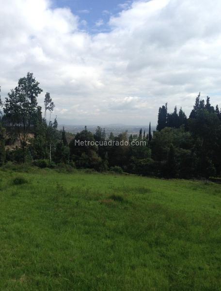 Lote en Venta, BALCONES DE BUENAVISTA, Cajicá - Vista 4