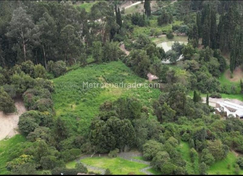 Lote en Venta, BALCONES DE BUENAVISTA, Cajicá - Vista 2
