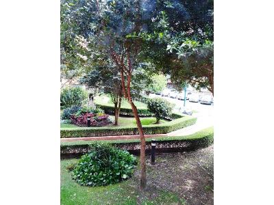 Apartamento de 3 alcobas en venta en Bosque De La Cañada, Bogotá, 217 m² · foto 19 de 19