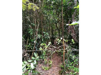Apartamento en venta en Bosques De La Cañada, Bogotá · foto 20 de 20
