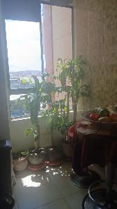 Apartamento en venta en Santa Barbara Alta, Bogotá · foto 6 de 16