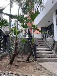 Casa en Arriendo, SANTA TERESITA, Cali