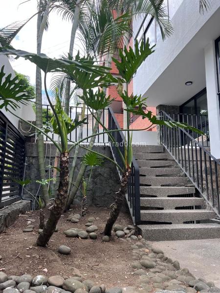 Casa en Arriendo, SANTA TERESITA, Cali