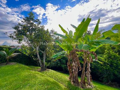 Casa en venta en Pueblito Cafetero, Pereira · foto 17 de 20