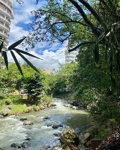 Apartamento de 4 alcobas en venta en Santa Rita, Cali, 243 m² · foto 2 de 20