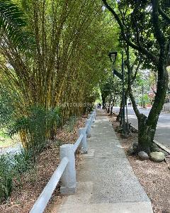 Apartamento de 4 alcobas en venta en Santa Rita, Cali, 243 m² · foto 3 de 20