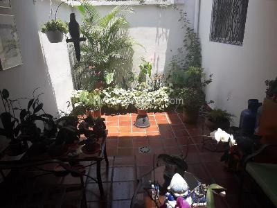Casa de 4 alcobas en venta en Santa Teresita, Cali, 210 m² · foto 7 de 16
