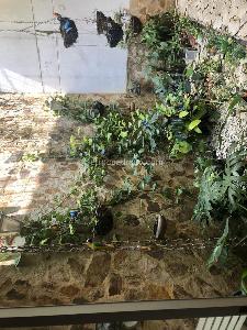 Casa de 5 alcobas en venta en El Ingenio I, Cali, 500 m² · foto 15 de 15