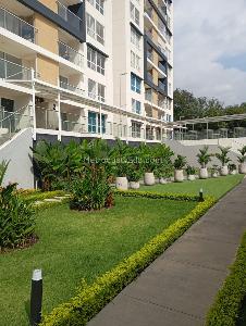 Apartamento en venta en Santa Isabel, Cali · foto 3 de 20