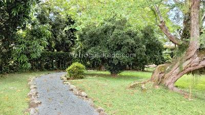 Casa de 5 alcobas en venta en Pance, Cali, 293 m² · foto 17 de 17