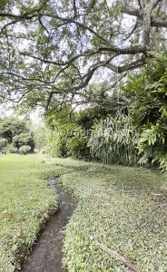 Casa de 5 alcobas en venta en Pance, Cali, 1000 m² · foto 3 de 20