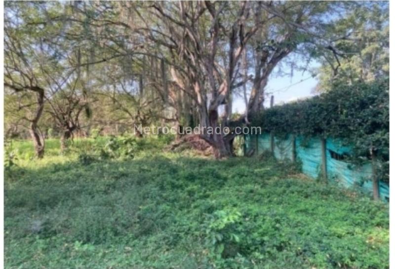 Lote en Venta, Pance, Cali - Vista 2