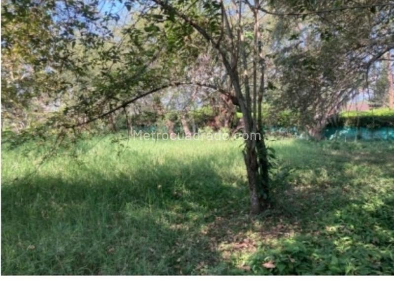 Lote en Venta, Pance, Cali - Vista 3