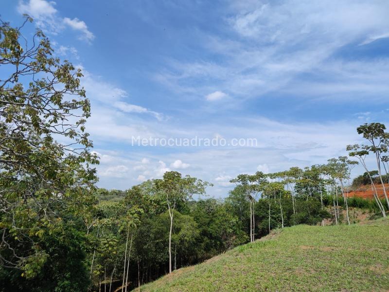 Lote en Venta, Pance, Cali - Vista 5