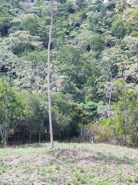 Lote en Venta, Pance, Cali - Más