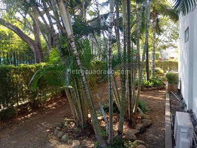 Apartamento de 3 alcobas en venta en Pance, Cali, 123 m² · foto 2 de 20