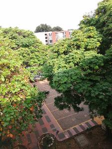 Apartamento en venta en Pacara, Cali · foto 5 de 20