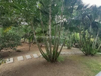 Apartamento de 4 alcobas en venta en El Poblado Loma De Los Gonzalez, Medellín, 171 m² · foto 20 de 20