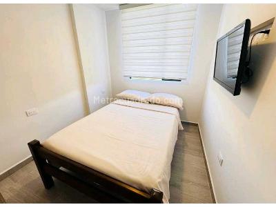 Apartamento de 2 alcobas en arriendo en Oro Negro, Armenia, 45 m² · foto 11 de 20