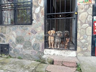 Casa en venta en Kenedy, Pereira · foto 5 de 18