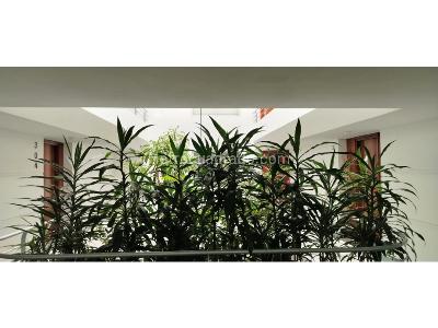 Apartamento en venta en Chico Reservado, Bogotá · foto 14 de 17
