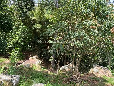 Casa de 5 alcobas en venta en Floridablanca, Floridablanca, 2000 m² · foto 9 de 11