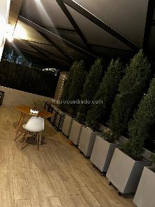 Casa de 5 alcobas en venta en Cañaveral, Floridablanca, 227 m² · foto 8 de 9