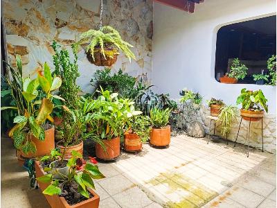 Casa de 4 alcobas en venta en Prados Del Norte, Cali, 320 m² · foto 18 de 19
