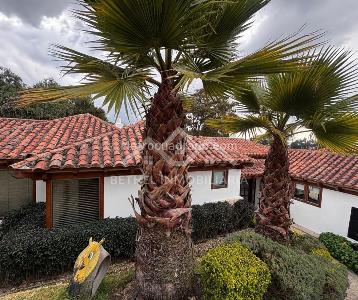 Casa de 4 alcobas en venta en Sindamanoy, Chía, 250 m² · foto 18 de 20