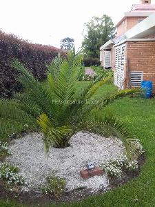 Casa de 4 alcobas en venta en San Simon Guaymaral, Bogotá, 350 m² · foto 8 de 15