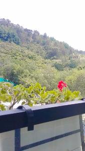 Apartamento de 1 alcoba en arriendo en Altos Bosque De Pinos, Bogotá, 53 m² · foto 13 de 20