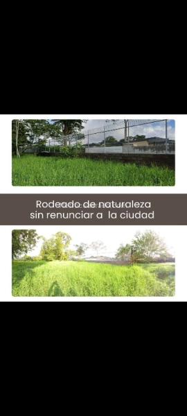 Lote en Venta, Vereda Aparco, Ibagué - Vista 3