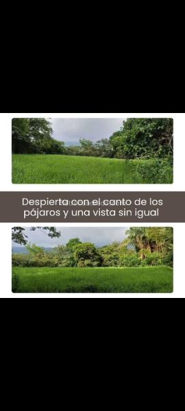 Lote en Venta, Vereda Aparco, Ibagué - Vista 4
