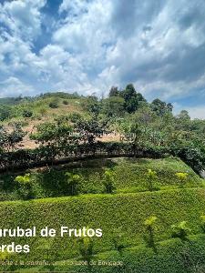 Apartamento de 3 alcobas en venta en Curubal, Envigado, 85 m² · foto 6 de 10