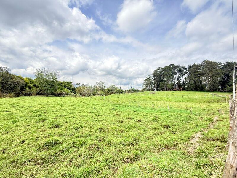 Lote en Venta, Otro, Rionegro - Vista 4