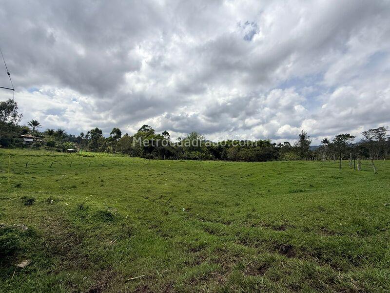 Lote en Venta, Otro, Rionegro - Más