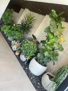 Casa de 4 alcobas en venta en Ruitoque Condominio, Floridablanca, 700 m² · foto 14 de 20