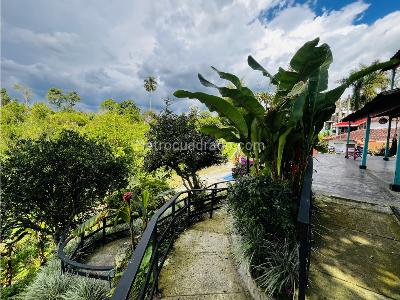 Casa de 5 alcobas en venta en La Tebaida, Armenia, 437 m² · foto 12 de 20