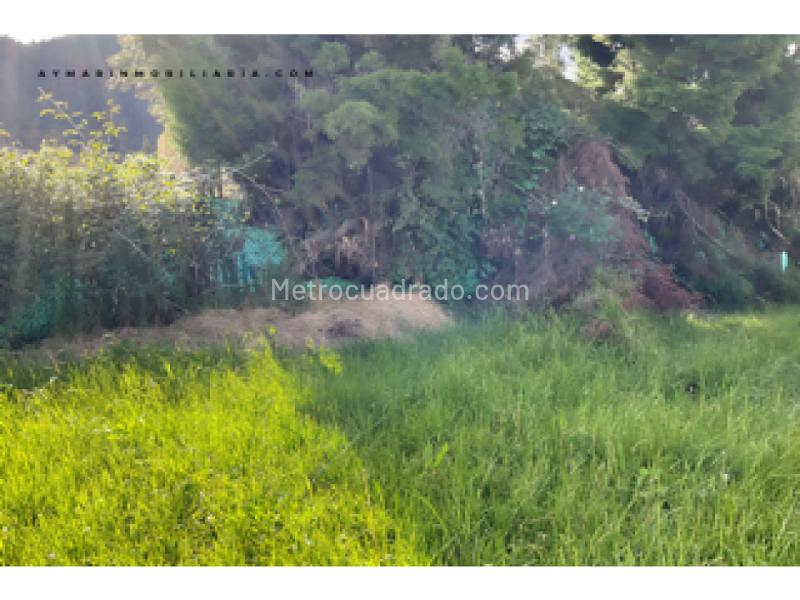 Lote en Venta, Cerca De Piedra, Chía - Más
