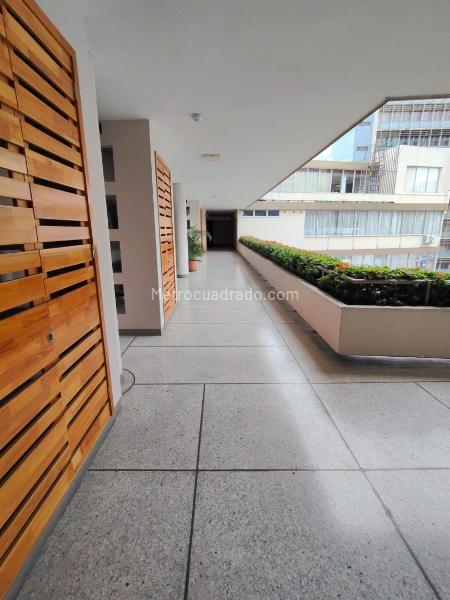 Oficina en Arriendo, SAN PEDRO, Cali - Vista 3