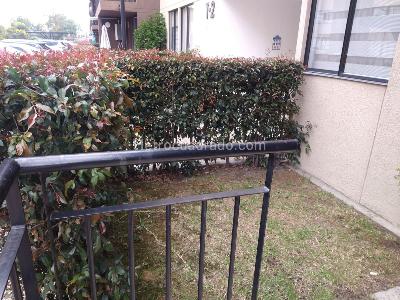 Apartaestudio en arriendo en Conjunto Fontana Park, Cajicá, 31 m² · foto 3 de 13