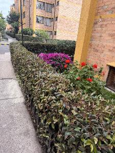 Apartamento en venta en El Tunal, Bogotá · foto 17 de 17
