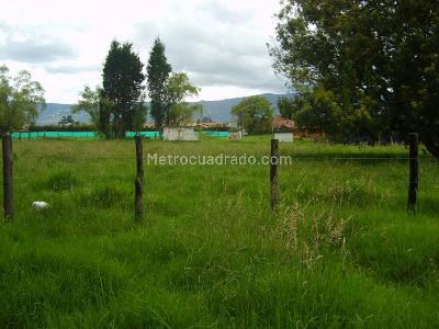 Casa de 5 alcobas en venta en Vereda Fonqueta, Chía · foto 7 de 20