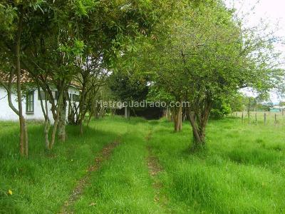 Casa de 5 alcobas en venta en Vereda Fonqueta, Chía · foto 8 de 20