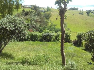 Casa en venta en Vereda Yerbabuena, Chía · foto 20 de 20