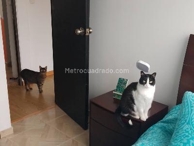 Apartamento en venta en Centro, Chía · foto 18 de 20