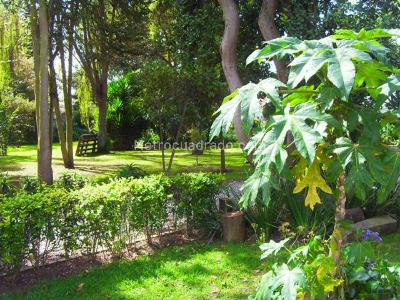 Casa de 5 alcobas en venta en Vereda Cerca De Piedra, Chía · foto 4 de 20
