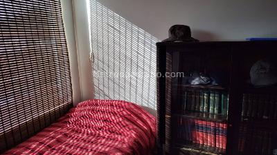 Apartamento en venta en Centro, Chía · foto 5 de 20