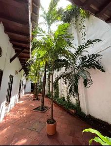 Casa de 5 alcobas en venta en El Centro, Cartagena, 447 m² · foto 6 de 18
